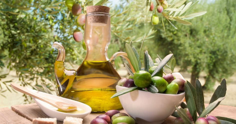 Premium Olive Oil Farm Experience