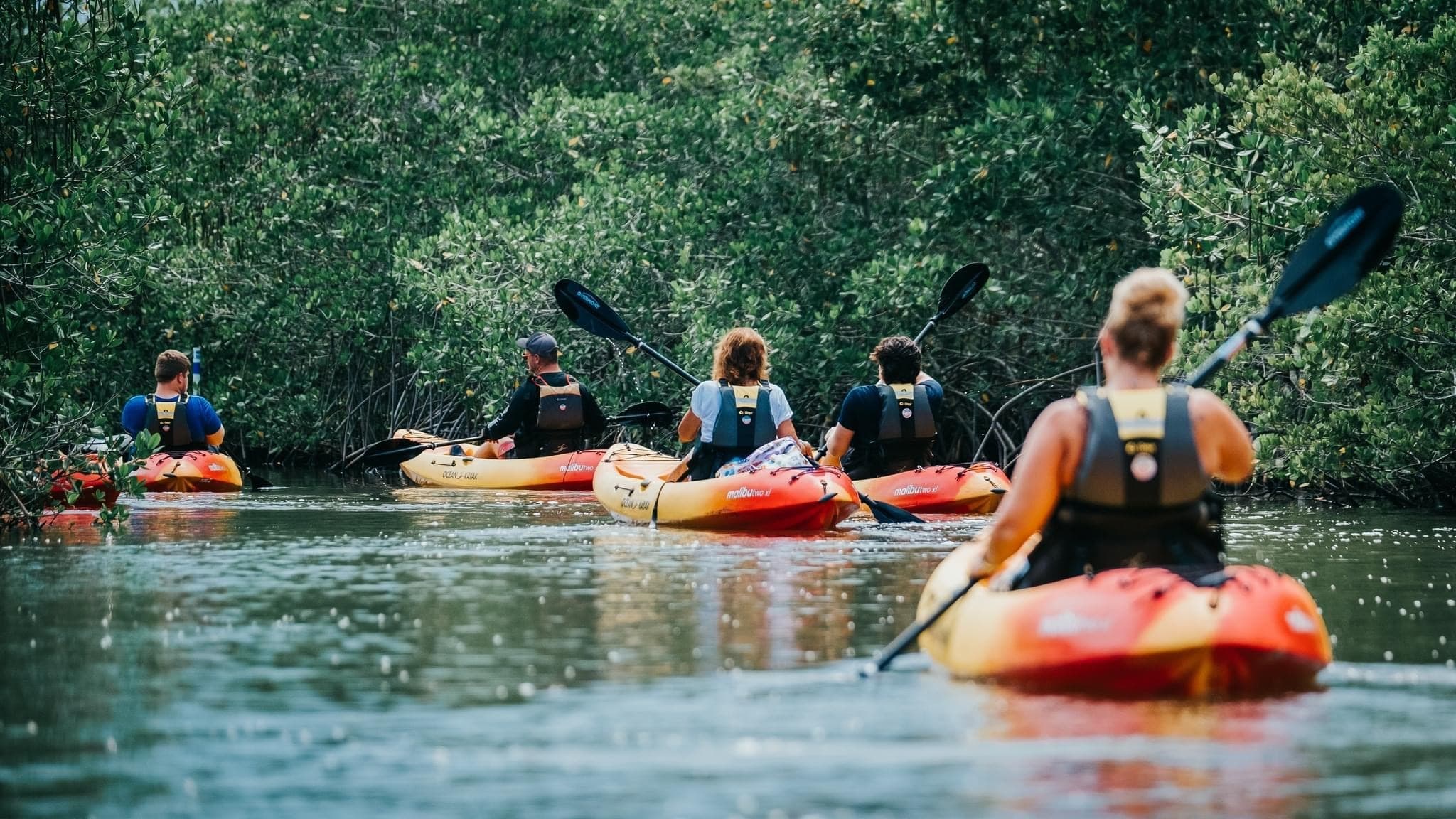 Self Guided Kayak and Paddleboard Rentals
