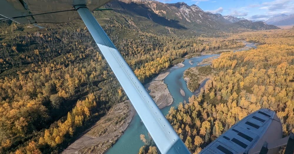 Luxury Guided Bear Viewing