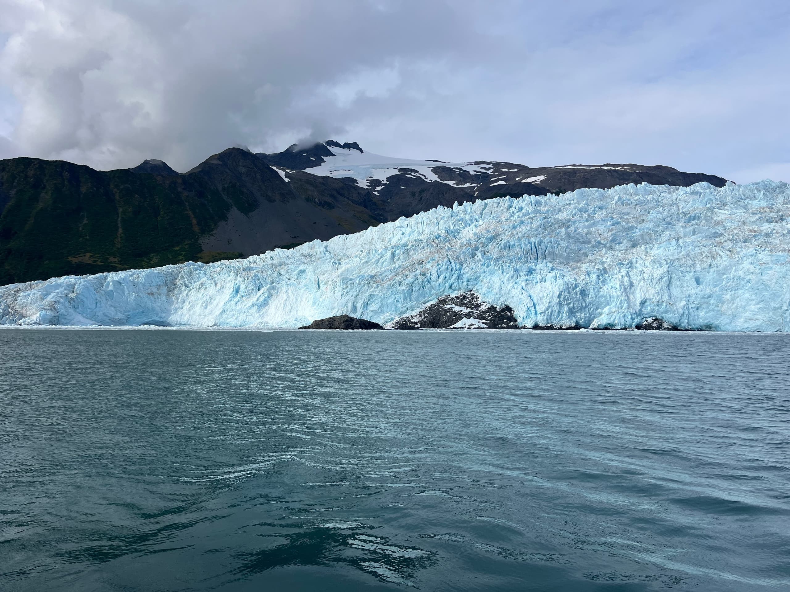Seward Full Day Glacier & Wildlife Tour