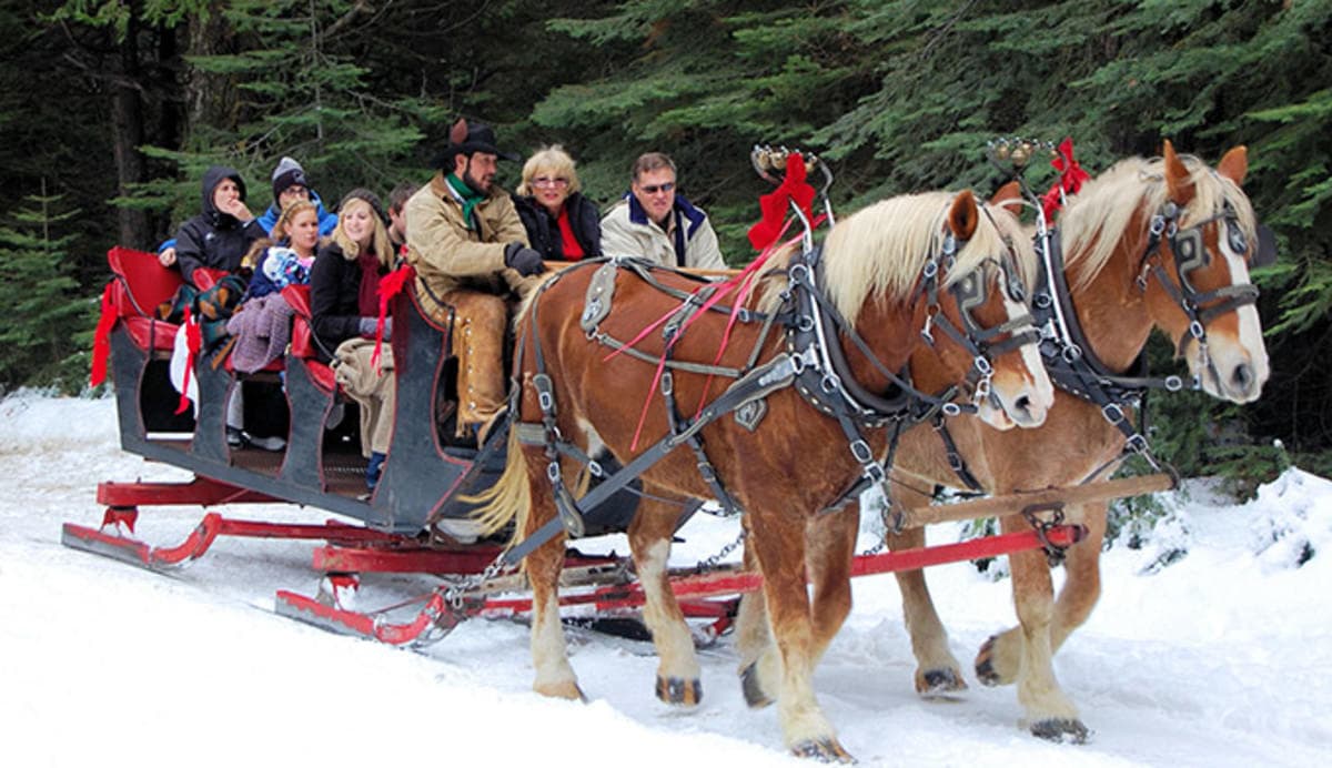 Sleigh Ride Dinner in Park City
