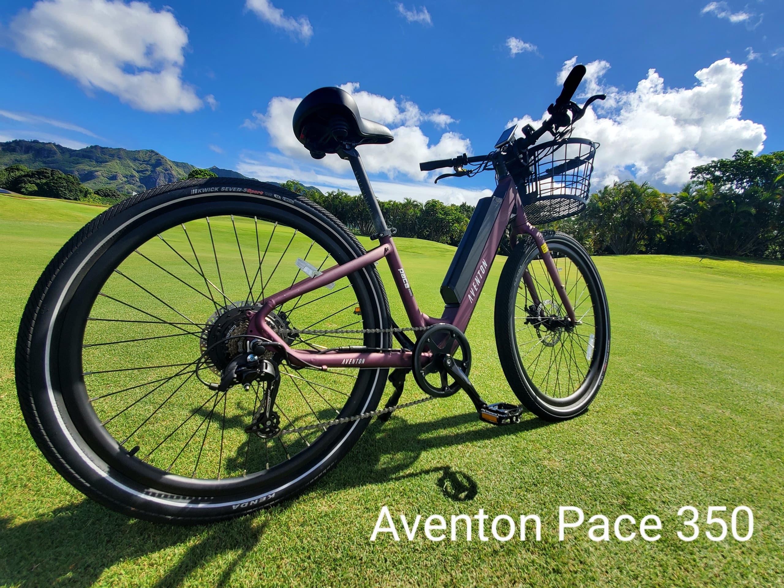 5-Day Ebike Rental