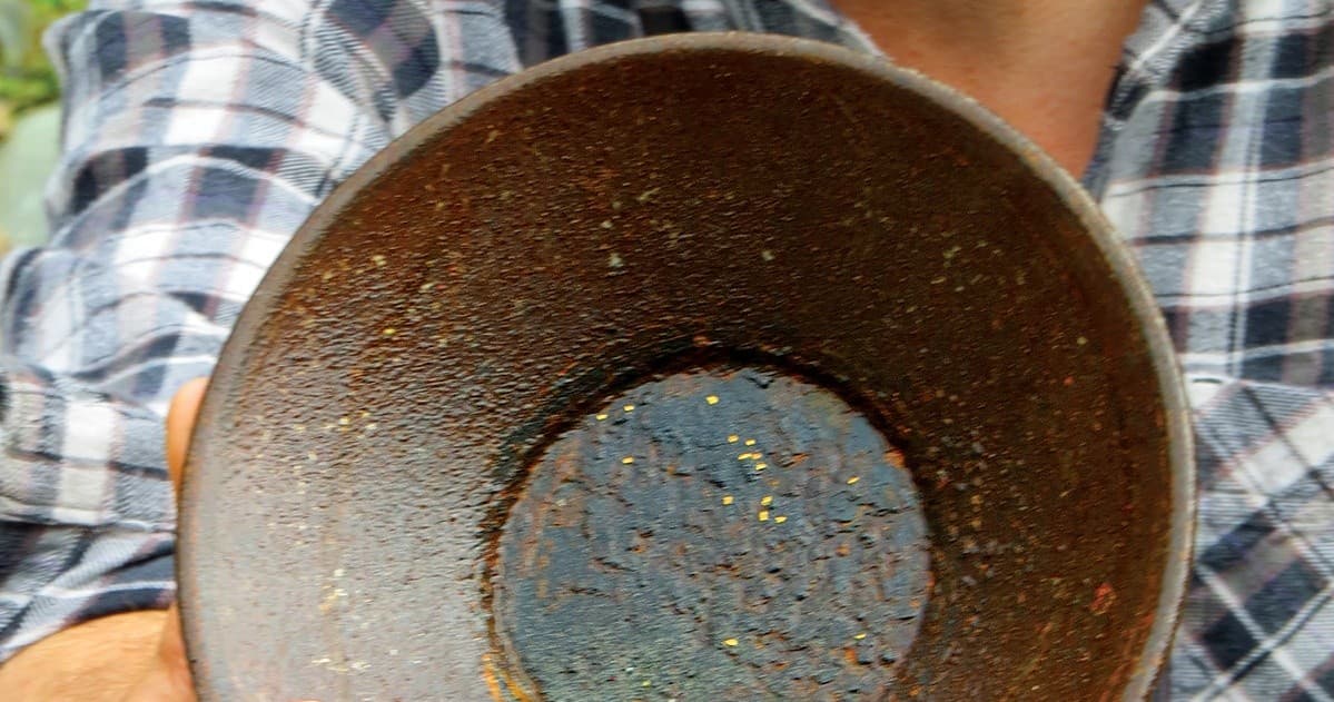 Gold Panning & Salmon Bake