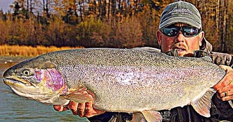 Half Day Kenai Trout Fishing