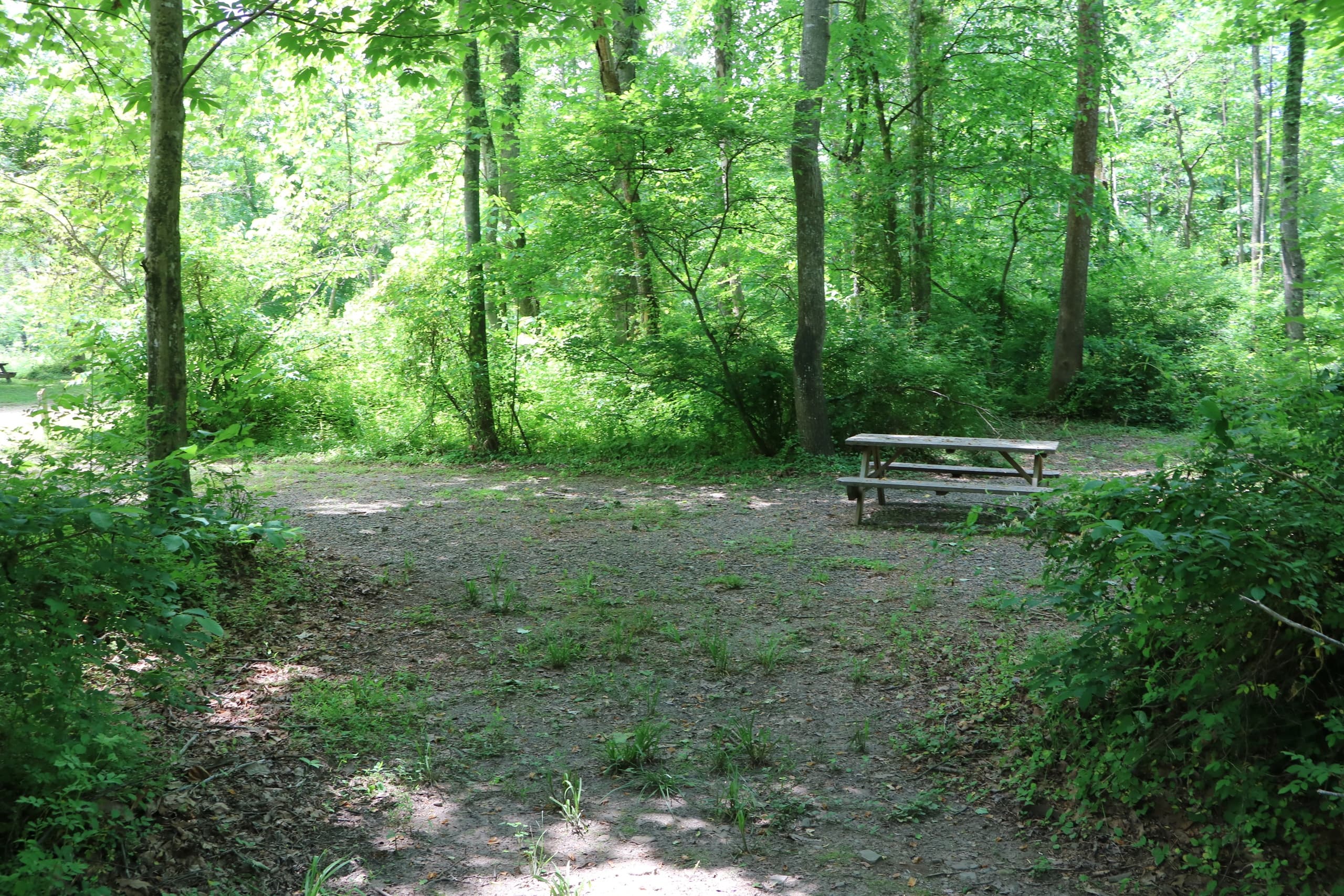 Camping - Gala Site # 15