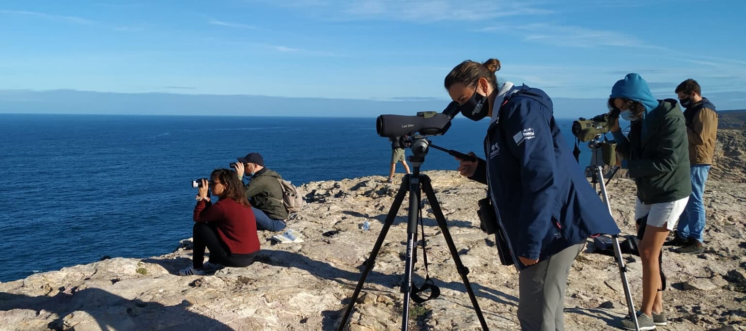 Birdwatching Sagres Peninsula