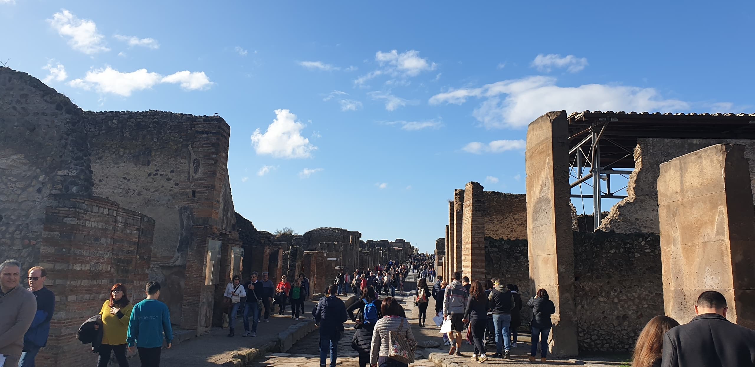 Tour di Pompei e pranzo in cantina
