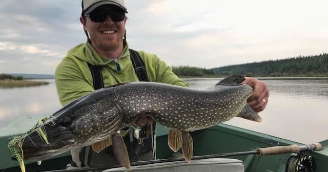 Trophy Pike Fishing Day Expedition