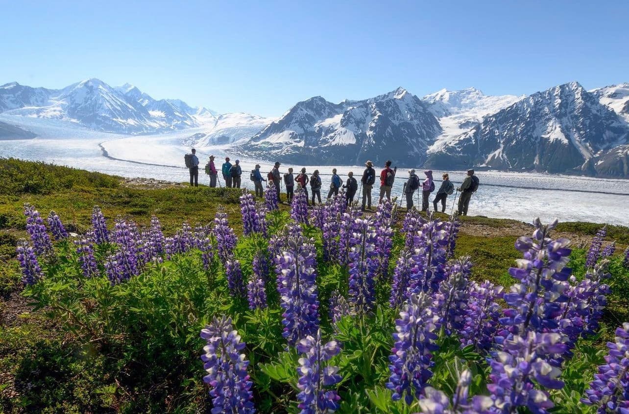 Heli Hiking Tour -4 HOUR