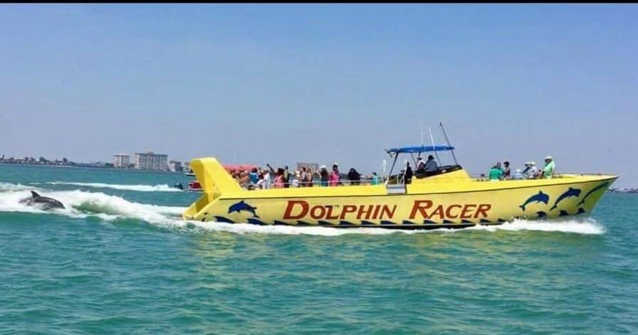 Dolphin Racer Adventure