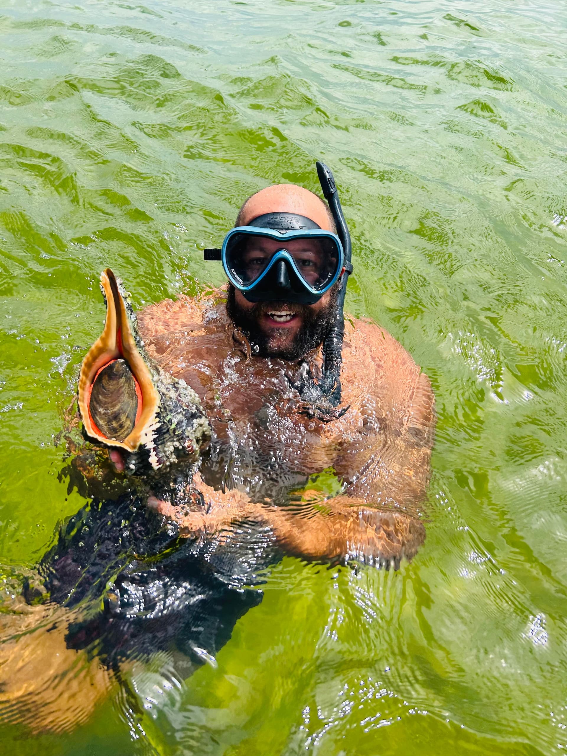 Marine Biology Package