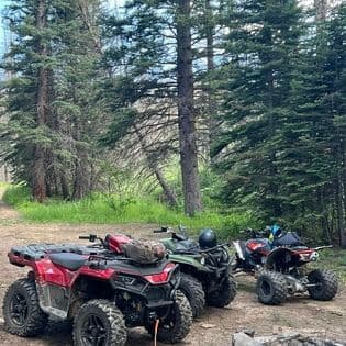 One Week Rental