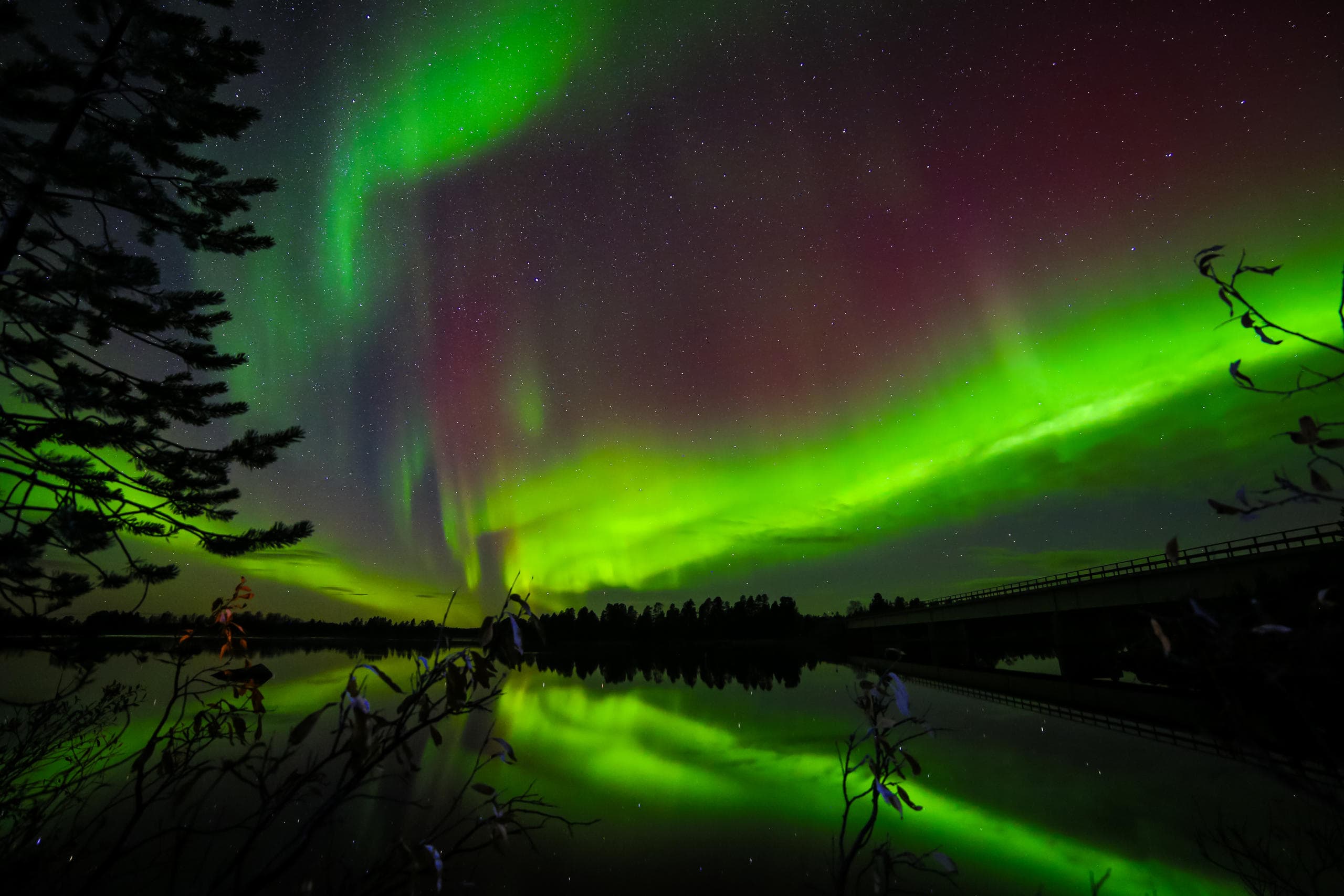 [F6] Aurora Camp on the Border (4h)