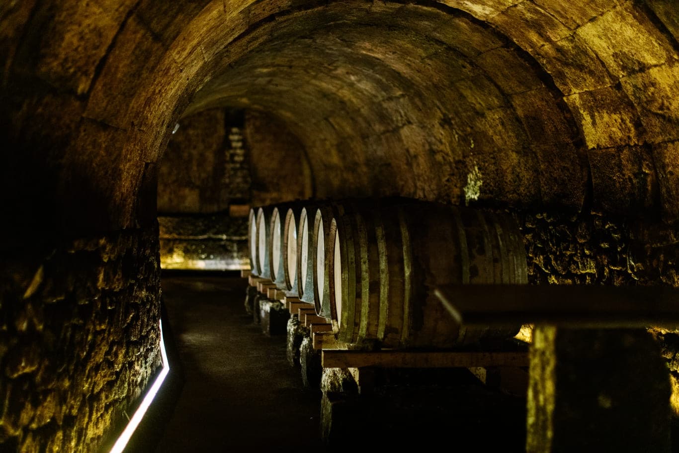 Un día en la Rioja