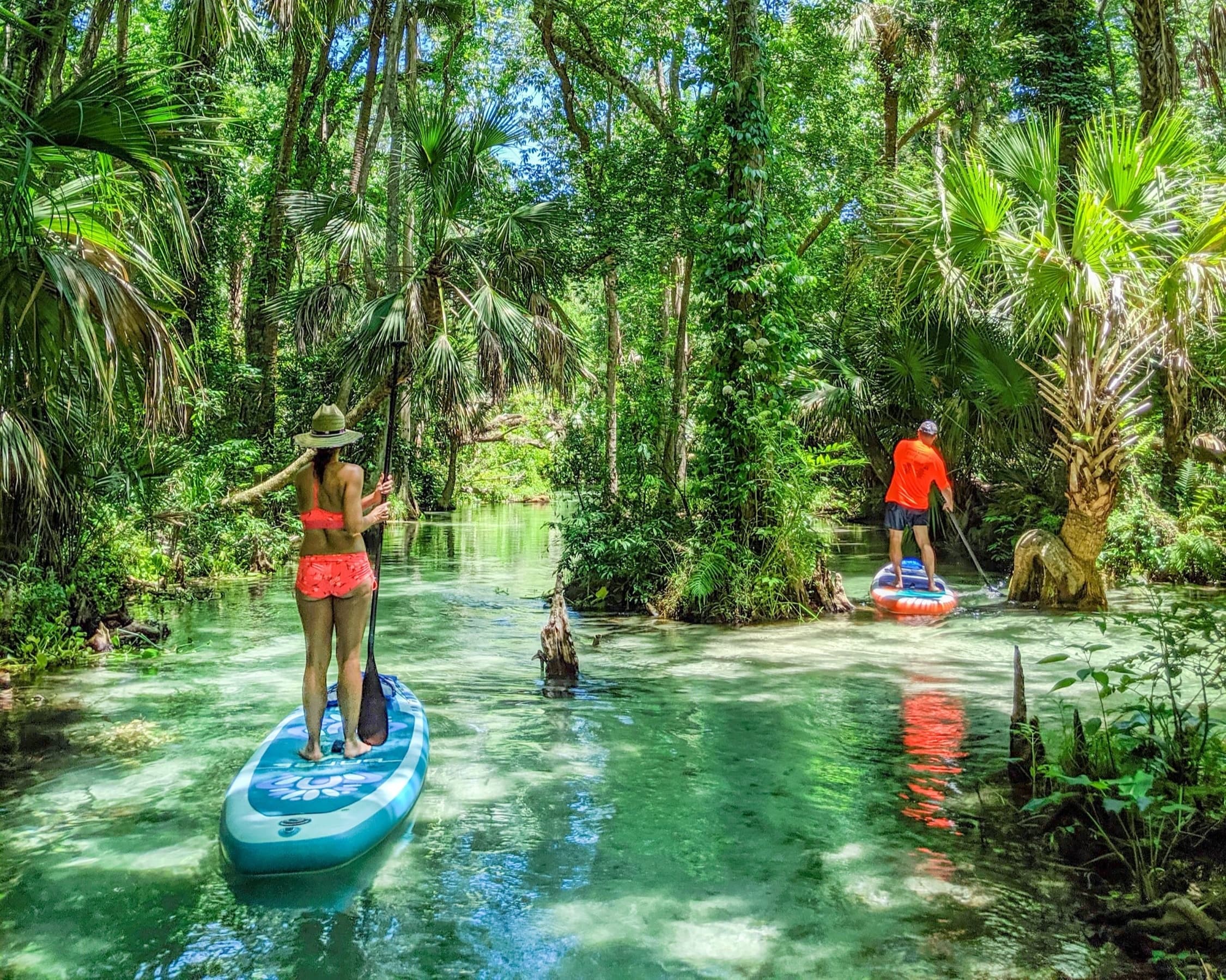 VIP Paddle Board Tour