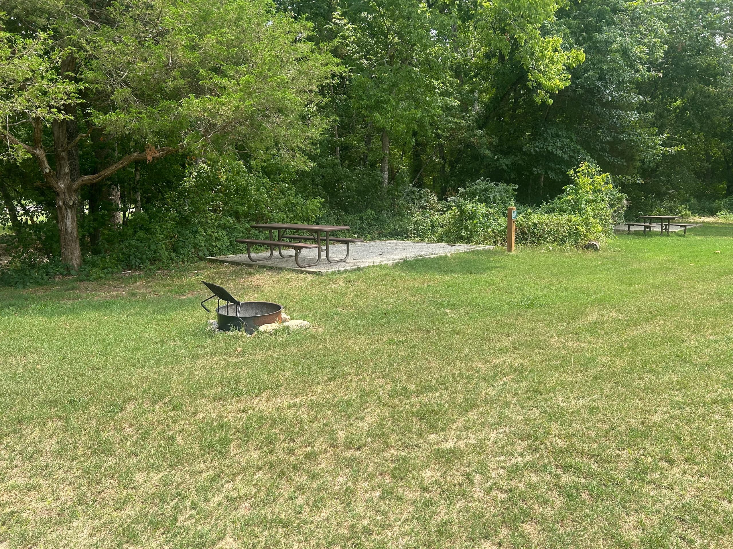 Meadow Campsite 11 (M11)