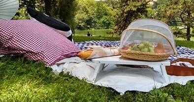 Catering Picnic Option Three