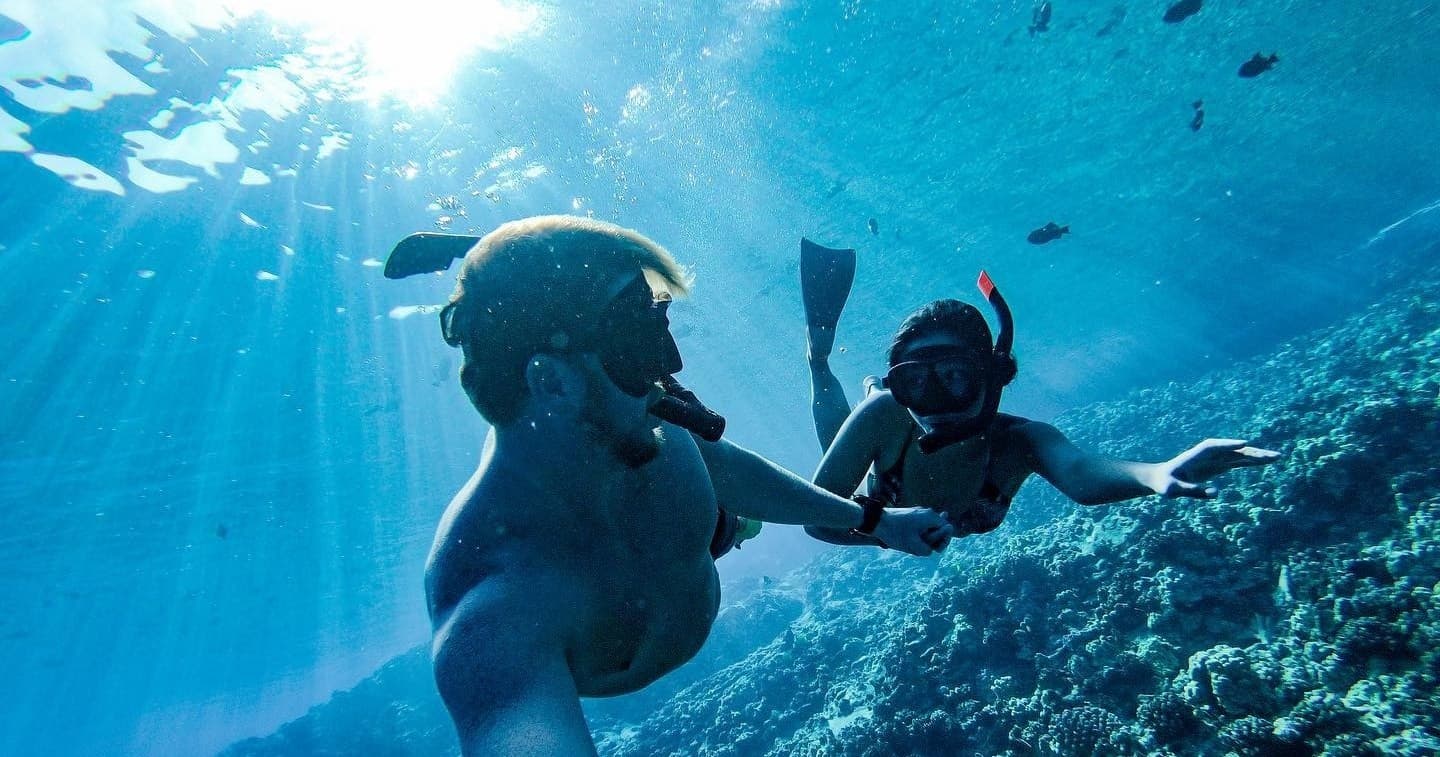 2n1 4HR Semi-Private Snorkel & Whale Watch