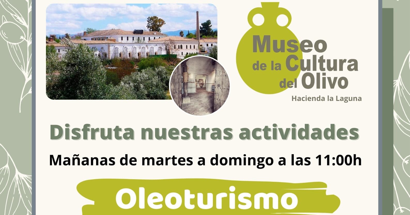 Oleoturismo Hacienda la Laguna