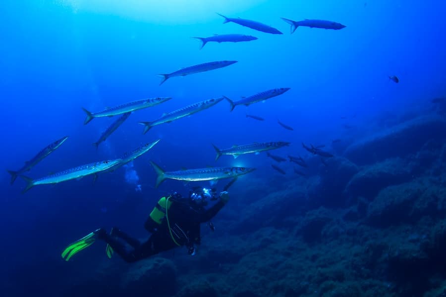 Salidas de Buceo en Mallorca