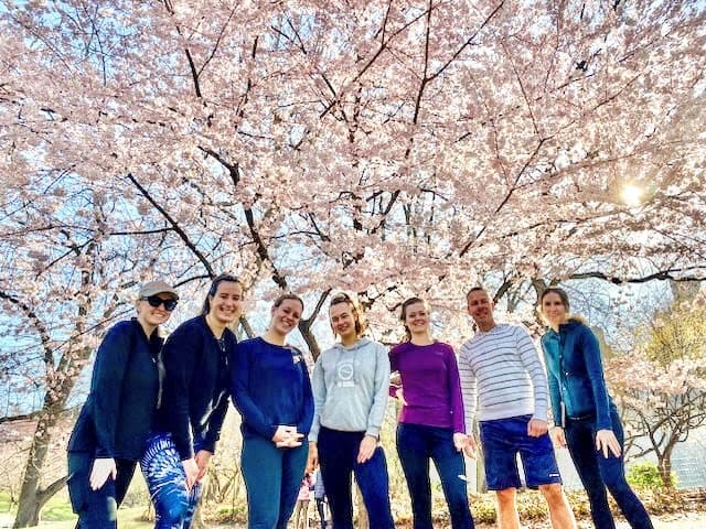 Cherry Blossom Running Tour