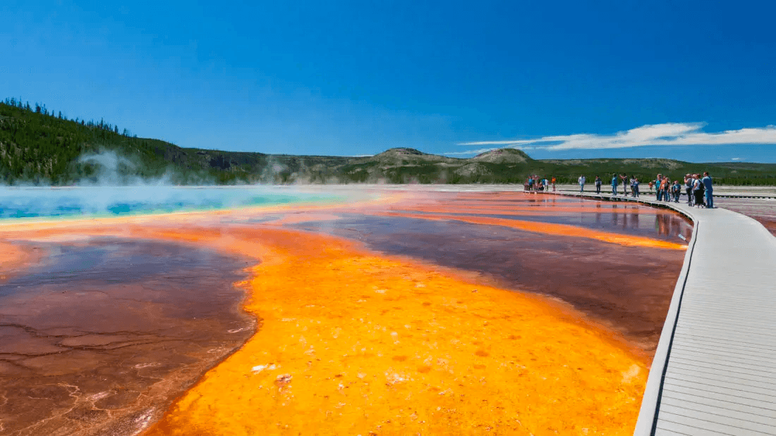 Best of Yellowstone EAST - Public Tour