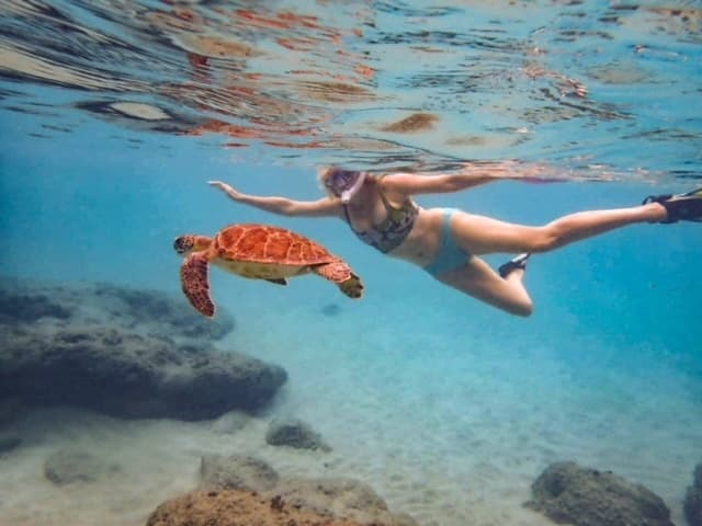 PRIVATE SNORKEL TOUR and Guide