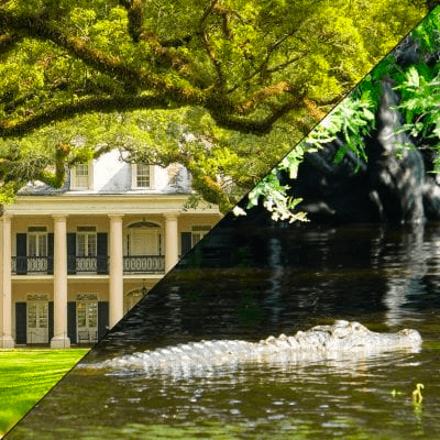 Oak Alley Plantation + Covered Boat Swamp Tour