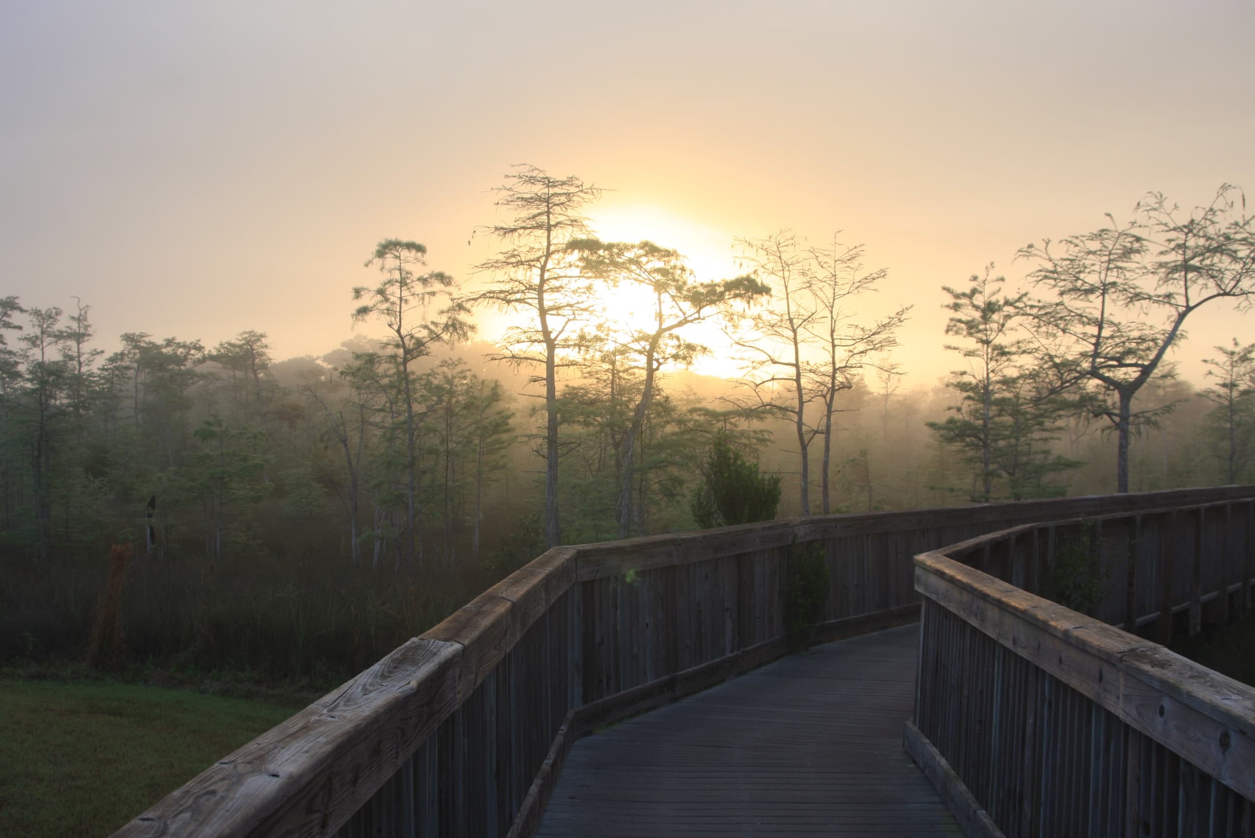 Everglades Day Safari from Miami