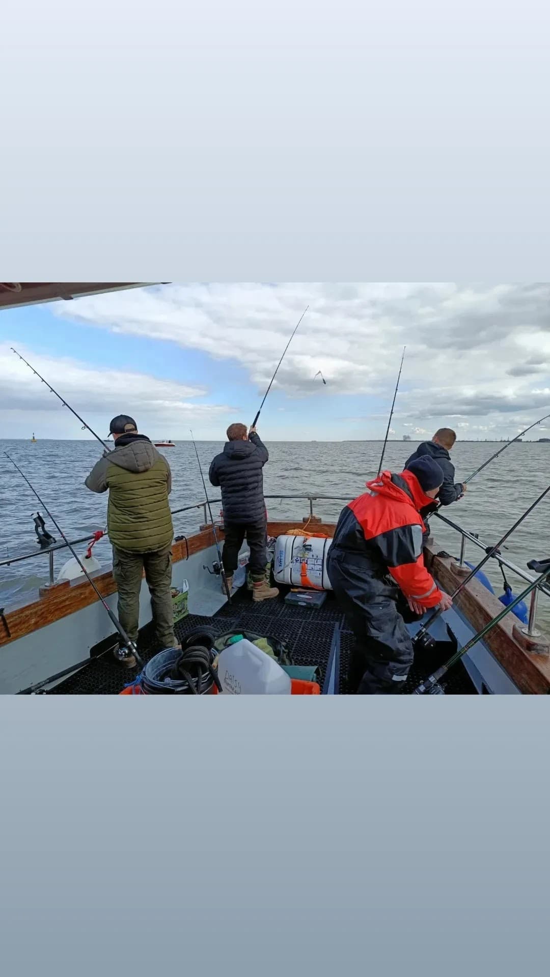 Sea Fishing Trips (Leigh On Sea & within the Thames Estuary):