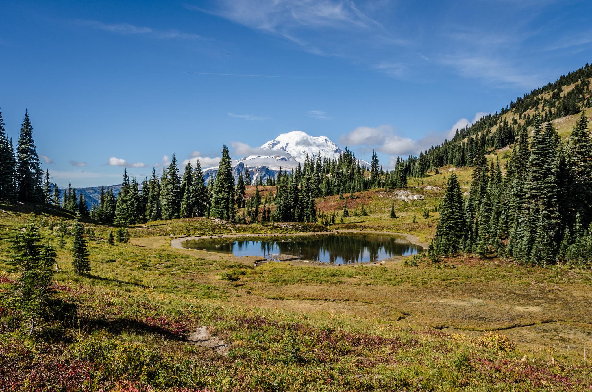 Mt. Rainier & Yakima Valley Wine Tasting