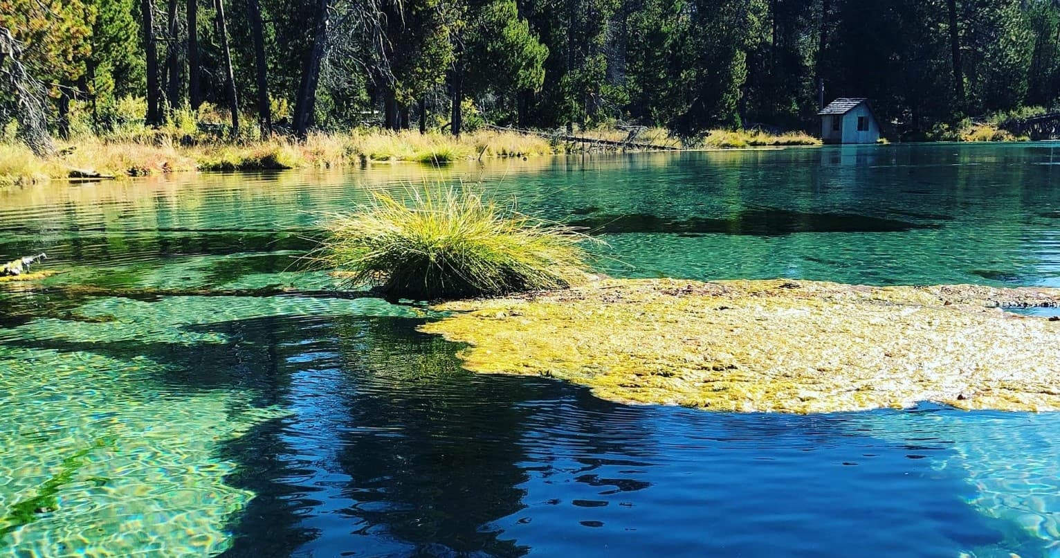 Spring Creek Kayaking Tour