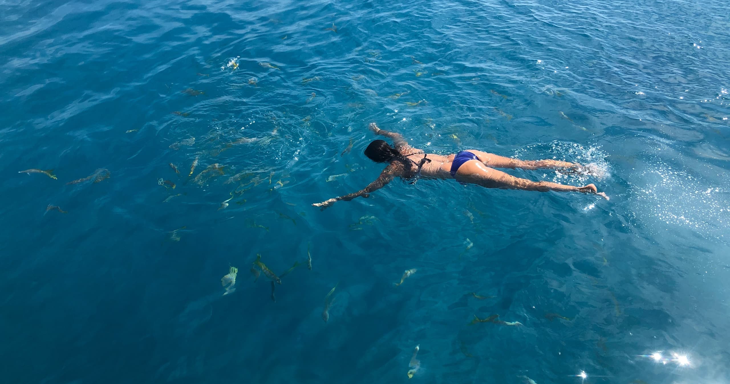 Snorkel or Sandbar Trip