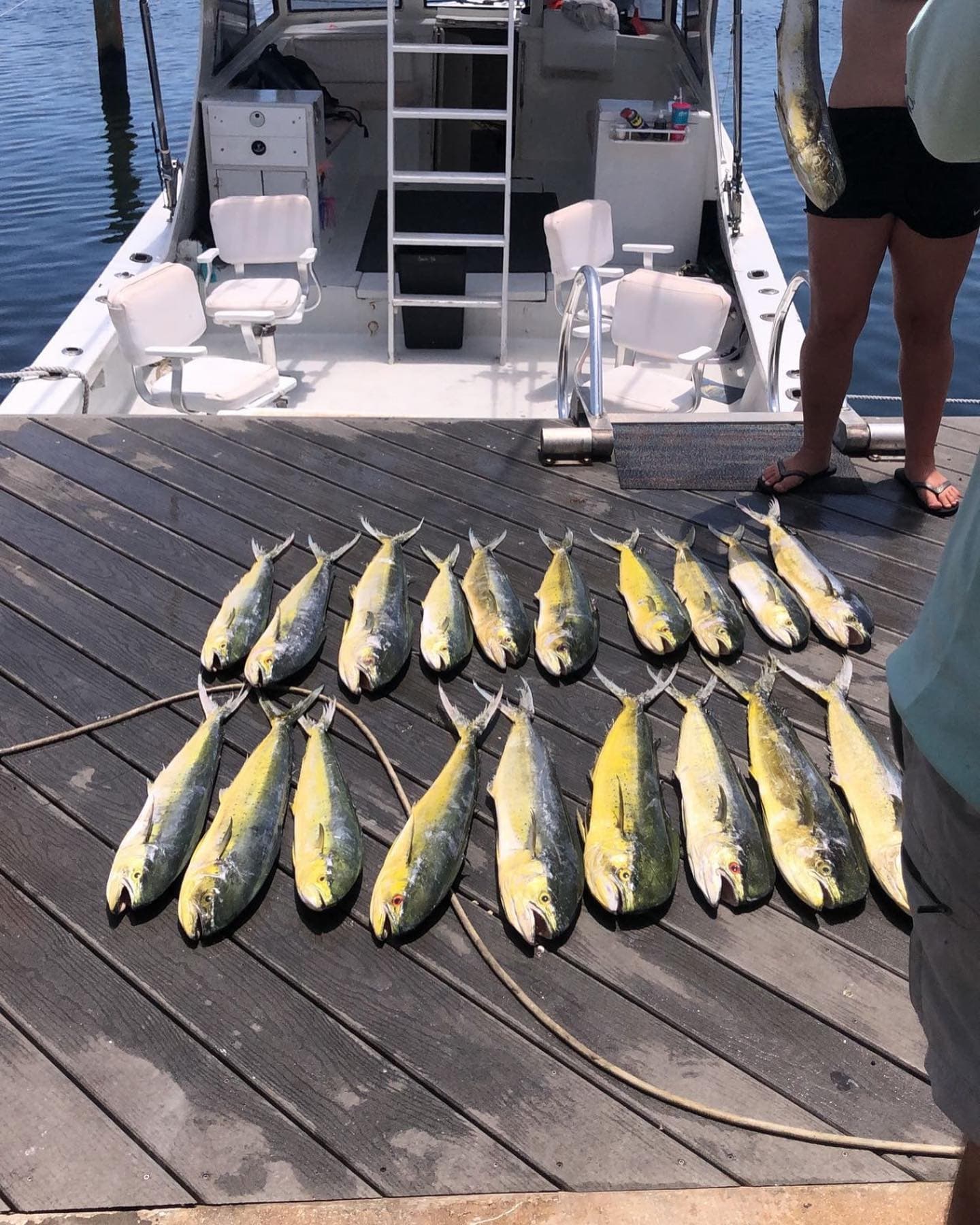 Shared Charter