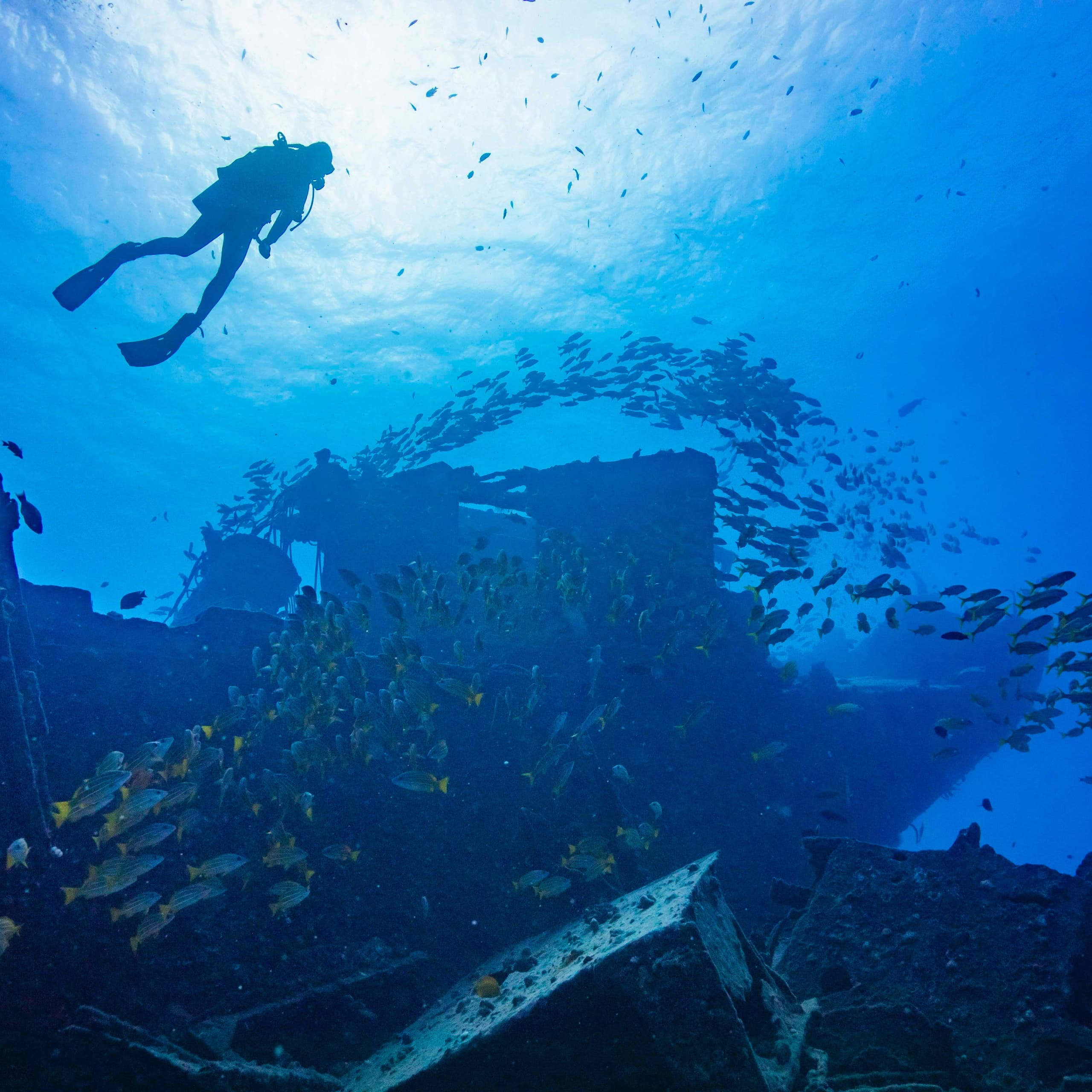 2 Tank Scuba Dive