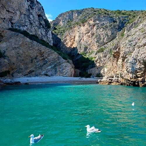 Taxi Boat - Praia da Baleeira - Grupo 9+