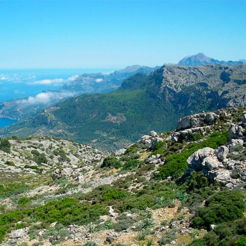 Puig de Randa