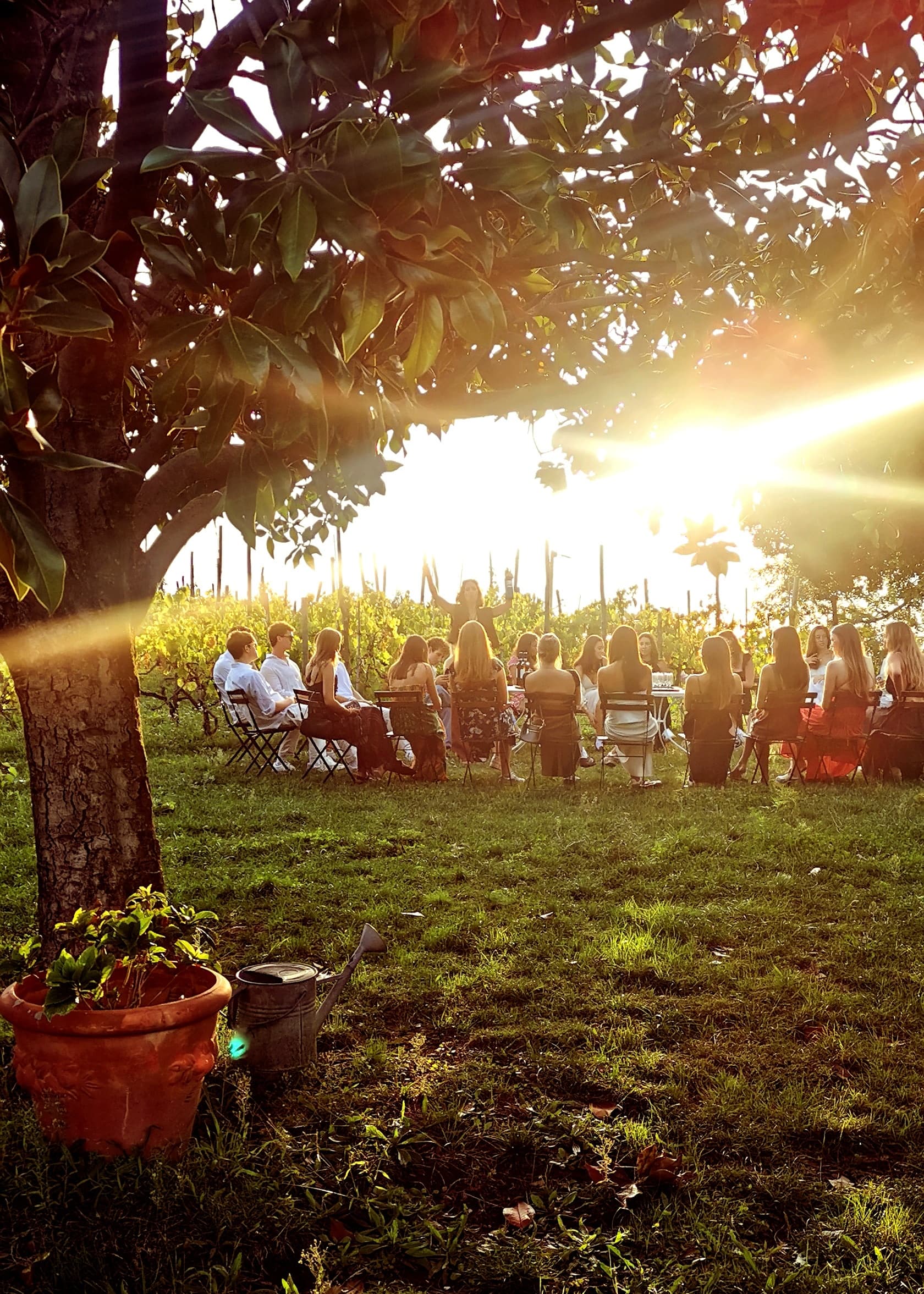 Relax: Wine Tasting & Farmhouse Lunch