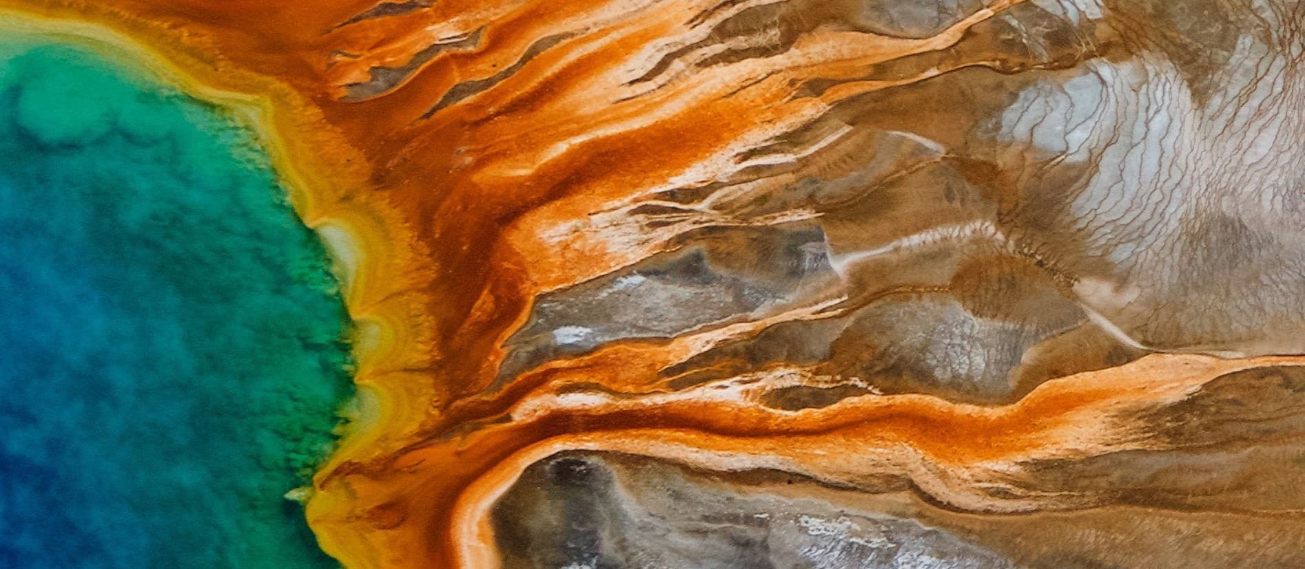 Yellowstone Full Day Wildlife & Geology Adventure