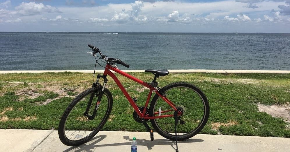 Adult Size Bike Rental