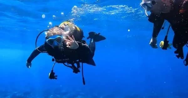 Try Dive