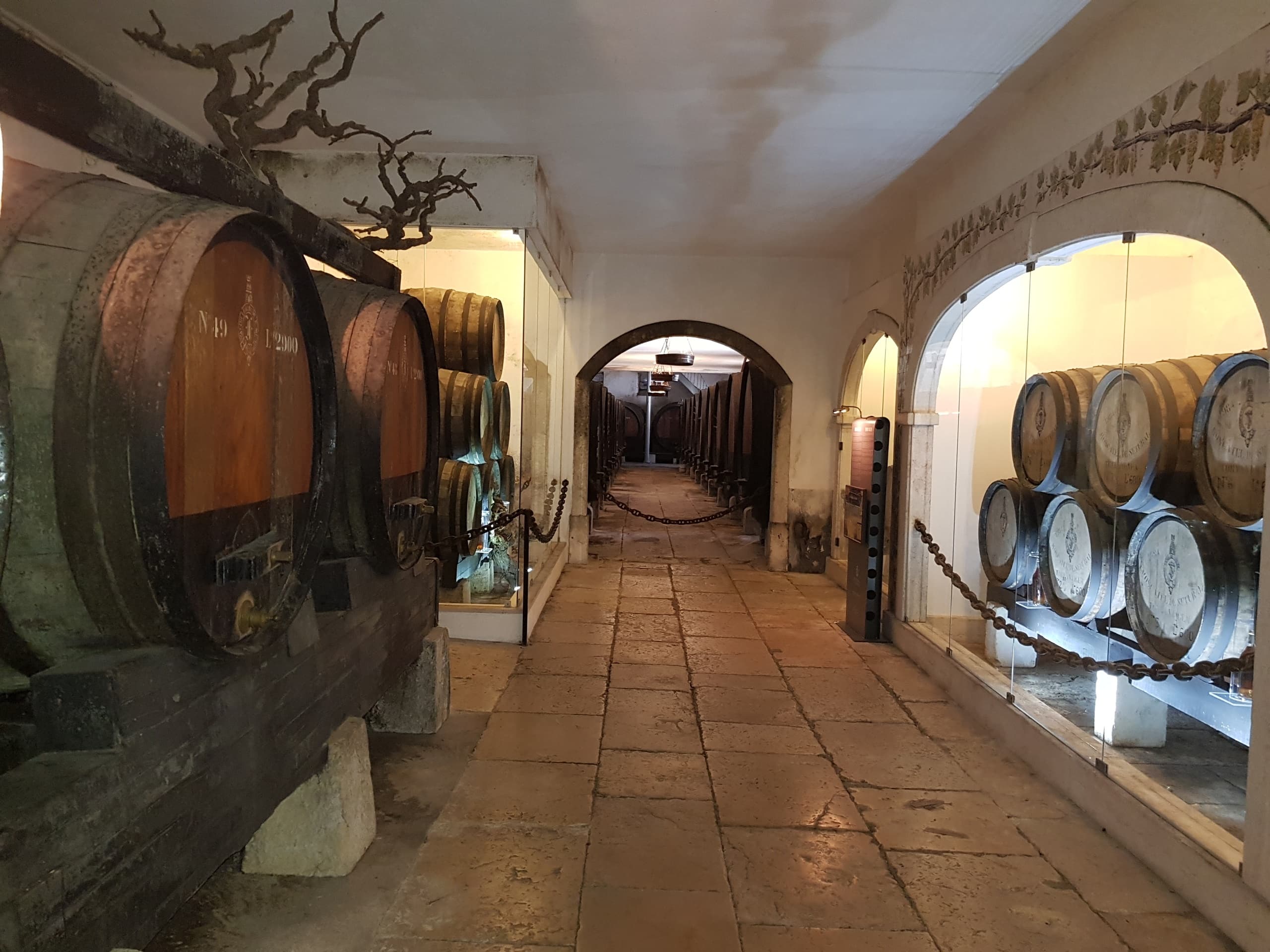 Exclusive Arrábida Wine Experience