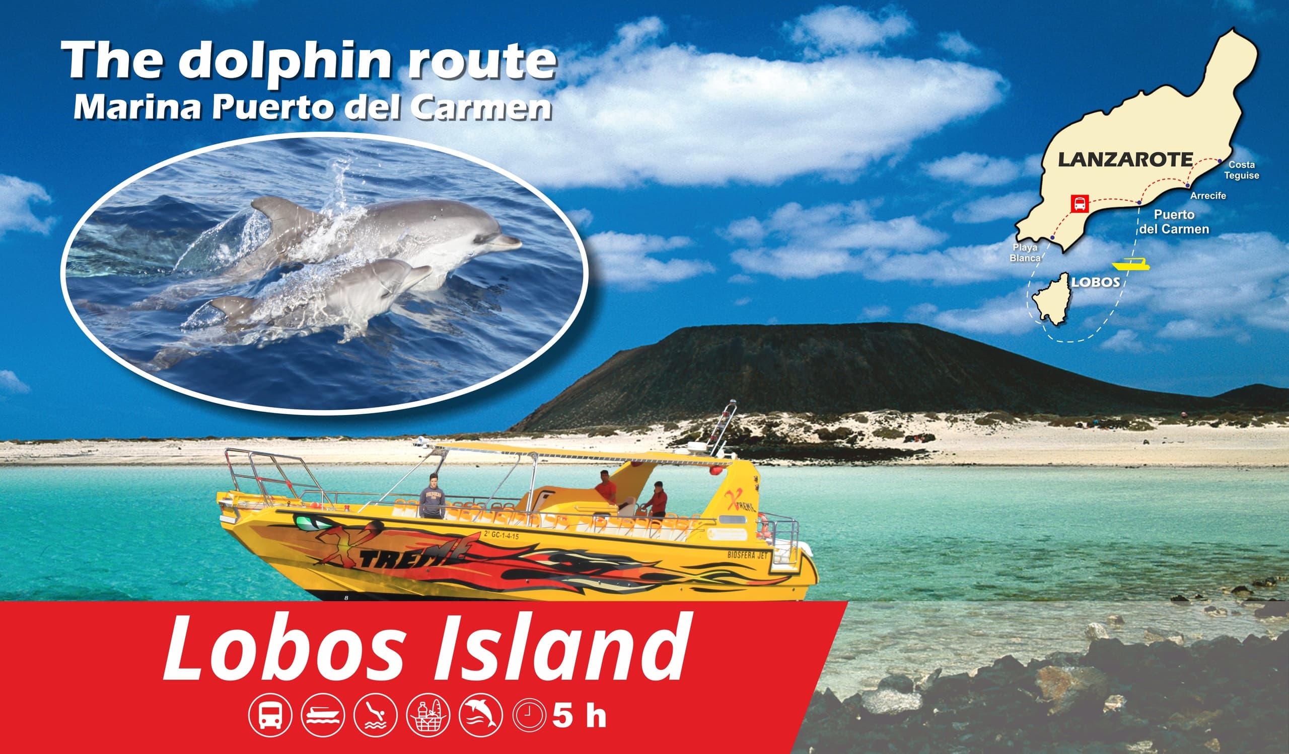 Avistamiento de delfines en la Isla de Lobos