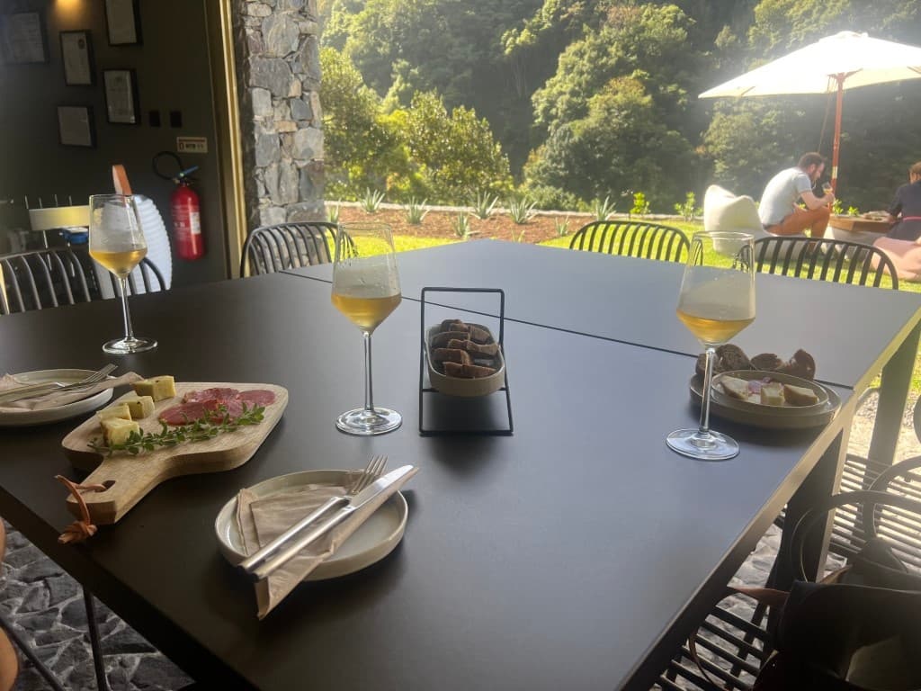Exclusive Wine Tasting in the Wine Region of Boaventura