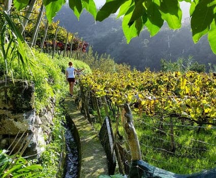 Visita ad una cantina con degustazione di vino