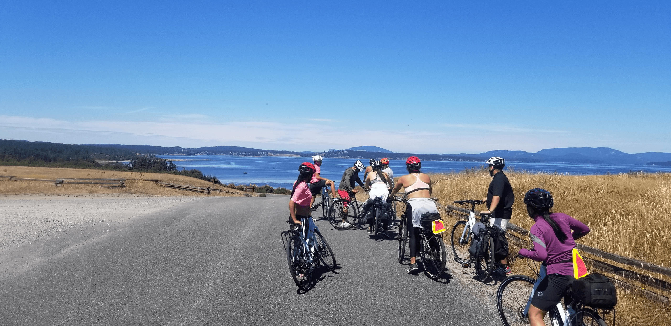 Island Classic Guided E-Bike Tour