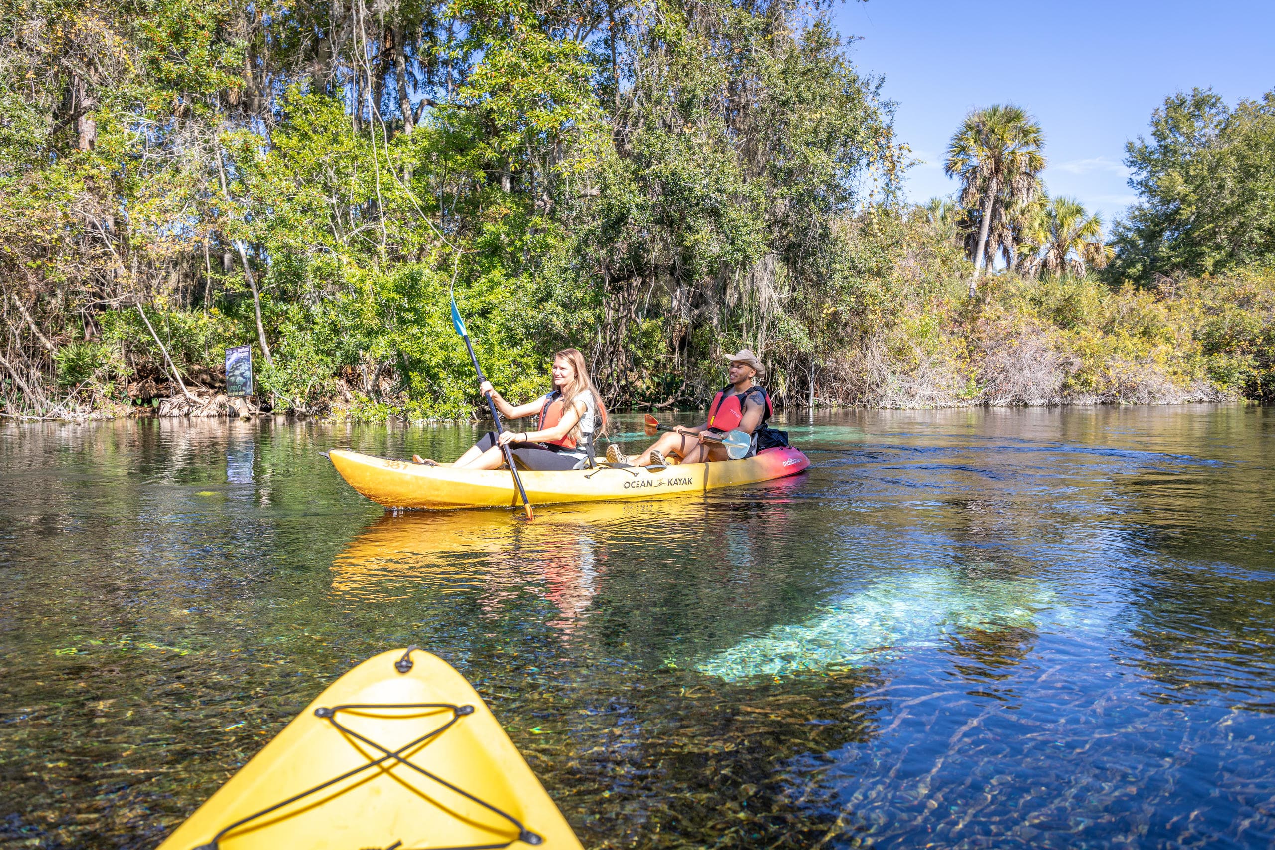 State Park Kayaking Experience - Self Guided