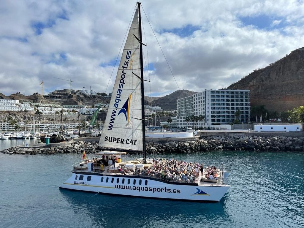 Dolphin Safari Gran Canaria - Supercat