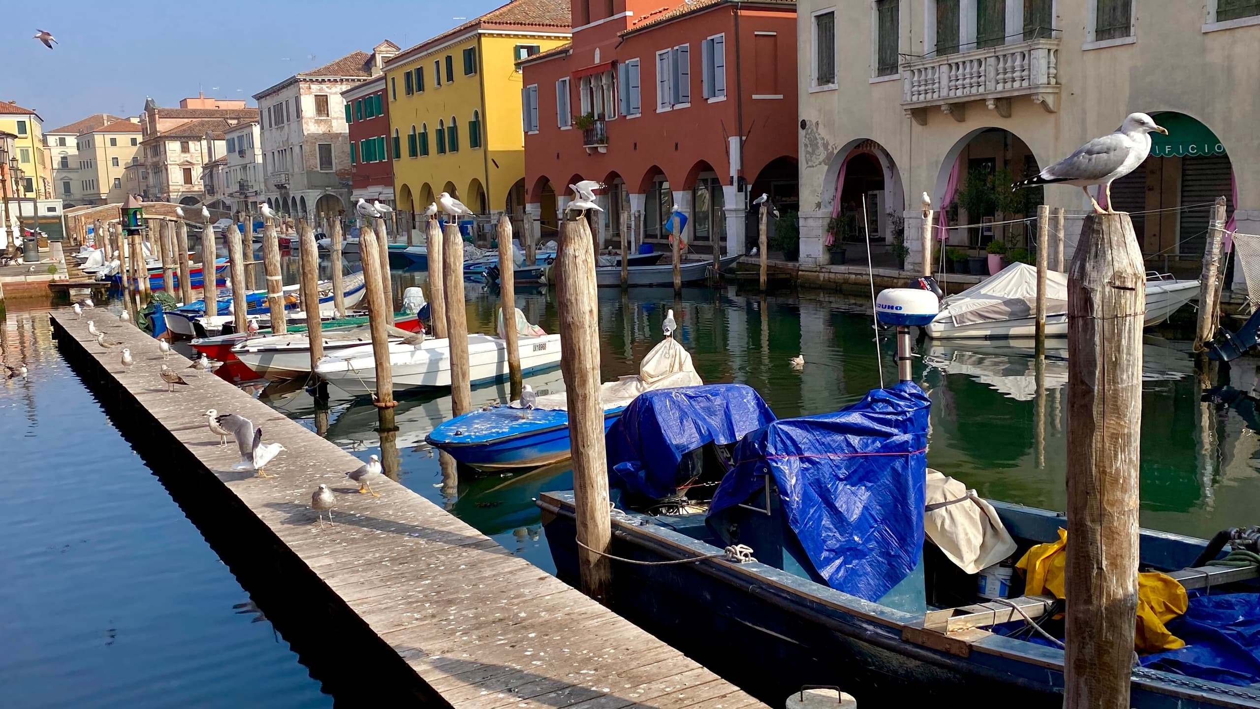 Chioggia Fish Market & Seafood Cooking