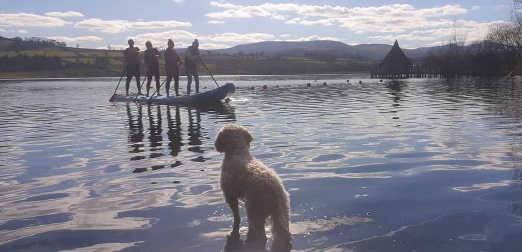 Giant Paddleboard Hire